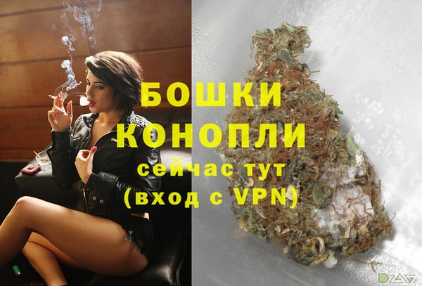 стаф Липки