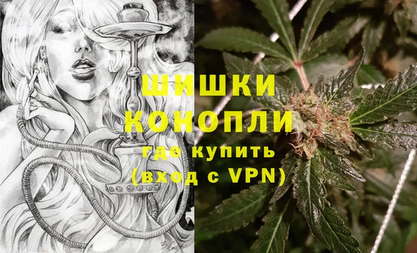 стаф Липки
