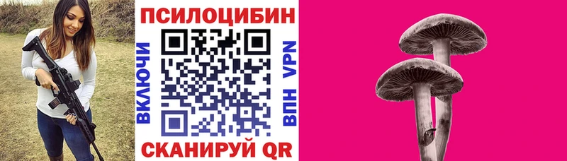 Купить  Бавлы  Галлюциногенные грибы ЛСД 